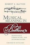 Musical Meaning in Beethoven: Markedness, Correlation, and Interpretation (Musical Meaning and Interpretation) by 