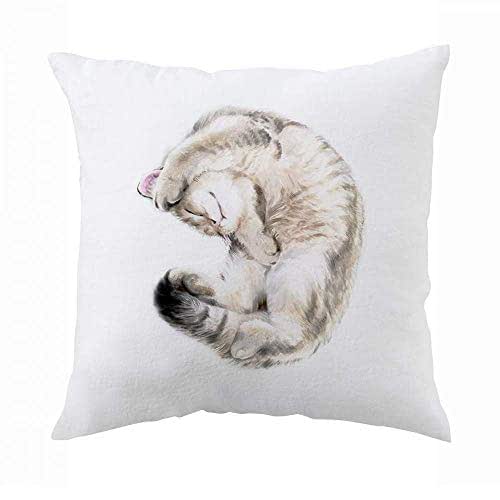 Cat Pillow Minimalist Decorative Cushion Cover