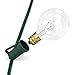 Lux Light G40 Clear Globe Ball String Lights 25 Feet - Indoor/Outdoor Rope Lights for Patio, Decoration, Events, Christmas, Fairy, Seasonal & Parties - Green