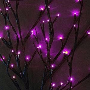 Pre-Lit Purple Willow Branch