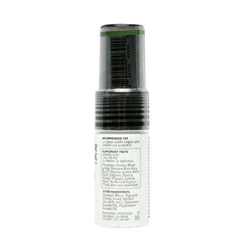 1Hour BreakÂ® Natural Anti-Anxiety Remedy and Instant Stress Relief, Kava Oral Spray- Mint, version 2.0