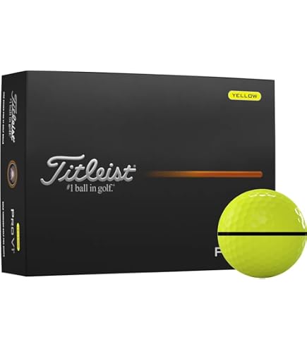 Amazon.com: Titleist 24 Pro V1 2019 Used Golf Balls (Yellow