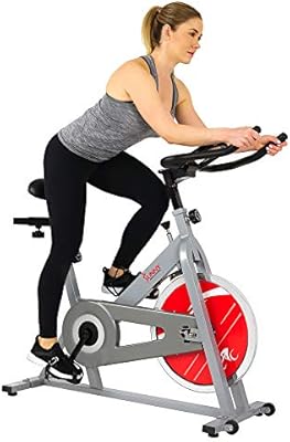 sunny spin bike amazon
