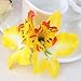 MorningRising 20 Pcs Multicolor Women Girls Orchid Flower Bohemian Leopard Hair Clip Wedding Party Beach Bridal Hairclip Hair Pins Hair Barrette Accessories