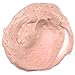 Freeman Facial Apple Cider Vinegar Clay Mask + Scrub 6 Ounce (177ml) (3 Pack)