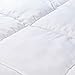 Over the Floor Ultra-Plush Comforter, Hypoallergenic Polyester Duvet Insert (Twin)