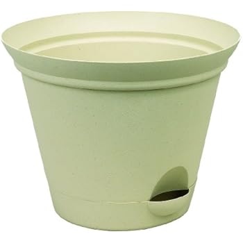 Misco 1154/3-072 Flare Self Watering Planter, 11.5-Inch, Latte