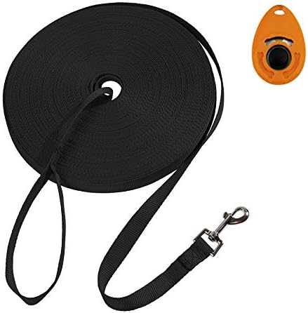 100 ft leash