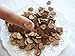 300pcs Rustic Wooden Hearts Love Wood Table Confetti for Wedding or Party Table Scatter Decor