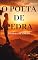 Livro O poeta de pedra