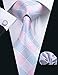 Barry.Wang Plaid Ties Check Mens Necktie Set with Handkerchief Cufflinks Classic Stripe