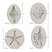Beasea Shell Silicone Mold, 4pcs Cake Decorating 3D Starfish Seashells Conch Shell Silicone Beach Theme Reusable Fondant Sugar Craft Tools Chocolate Candy Molds Kitchen Baking