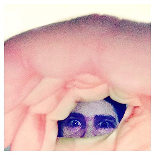 Album art for Odditties Sodomies Vol. 2 by Ariel Pink