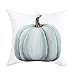 Yastouay Autumn Throw Pillow Cover Decorations Pumpkin Cushion Couch Cover Pillow Cases Set of 4 for Autumn Thanksgiving Day (Blue-Gray,18 X 18 Inch)