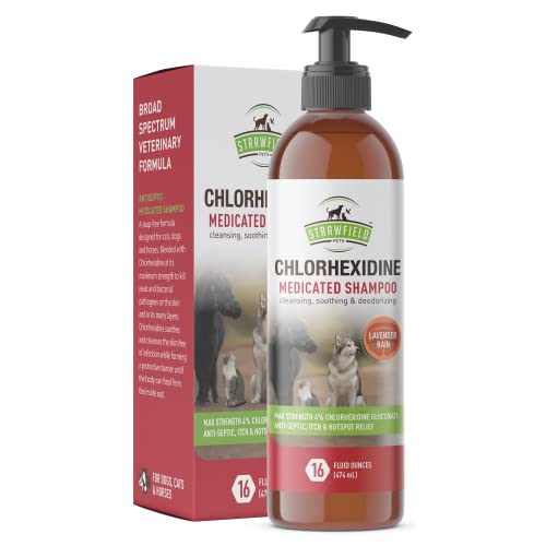 chlorhexidine for dog hot spots