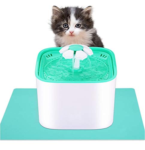 cat waterfall drinking bowl
