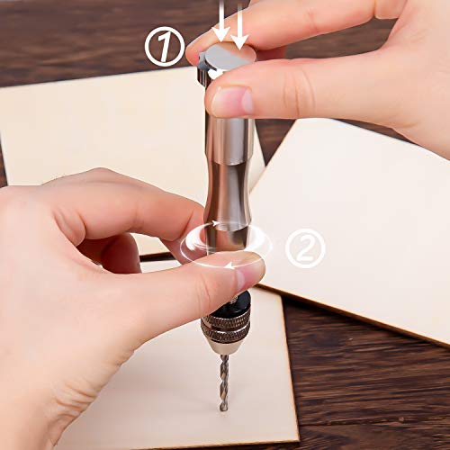 image for LUTER 10 Sizes Pin Vise Hand Drill Bits Precision Mini Hand Drill Set 