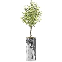 SIGNWIN Olive Tree with Black & White Industrial Grunge Effect Vase Abstract Shapes Minimalism Zen Dramatic Dark for Living Room, Bedroom, Office - X-Large 5 Feet (60