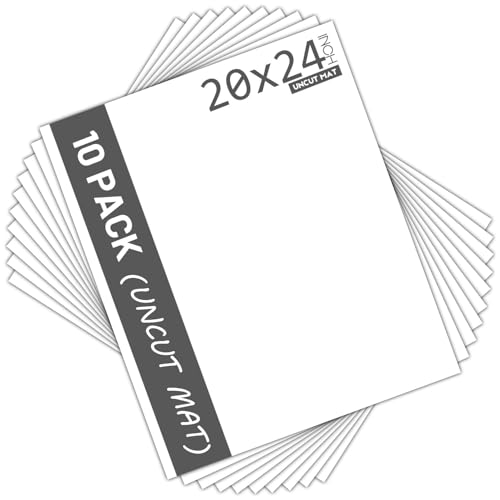 Mat Board Pack of 10 20x24 Uncut