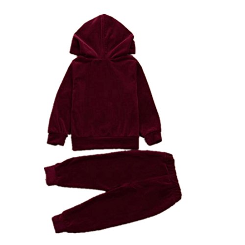 Click Here to See More Images â¤ï¸Baby Clothes Set,Hot New Fashion 2018 Newborn Toddler Infant Kids Children Boy Girl Hooded Cartoon Sweatershirt Tops+Pants Velvet Outfits Set (Wine, 18M-24M)