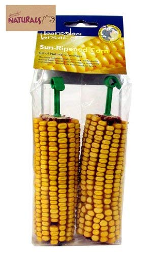Boredom Breaker Cereal Treats Sun Ripened Corn Pets Small Animals Edible 5025659196435