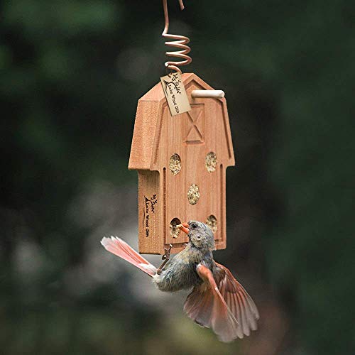 LakeWoodGift Includes Suet Country Barn Best Homemade Hanging Bird Suet Feeder Includes Suet and Wooden Seed Bucket for Wild Birds garden lover seed bucket outdoor good quality eucalyptus wood - Thumbnail 3