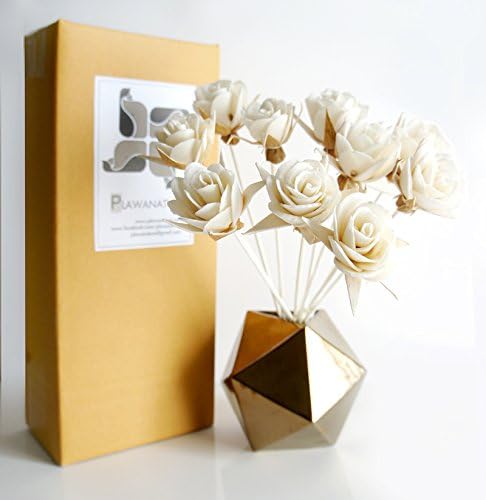 10 Valentine's Rose Sola Flower with Reed Diffuser for Home Fragrance Aroma Oil by Plawanature.