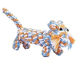 EXPAWLORER Cotton Dental Teaser Puppy Pet Chew Rope Toys for Small Dog Biting 9-inch,Tiger