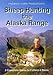 Sheep Hunting the Alaska Range