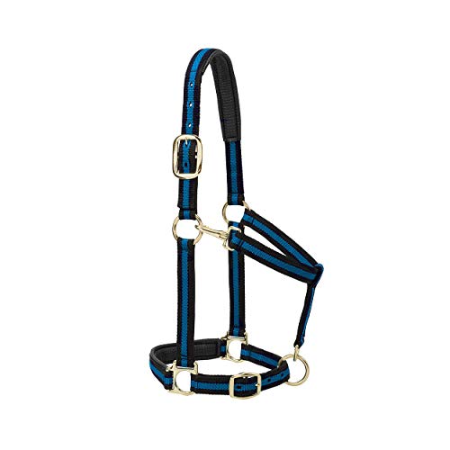 Weaver Leather Padded Adjustable Nylon Horse Halter, Blue, 1″ Average Horse