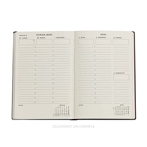 Paperblanks 12 Months 2023 Diary Fate | Horizontal | Mini (100 × 140 mm)