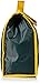 NFL Green Bay Packers Big Logo Velcro Lunch Bag, Green