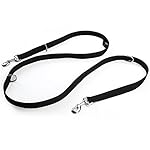 Glow Castle Fashionable Multi-function Double buckle Dog Leash,Double strap double traction rope pull two dog