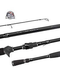 Cadence CR6B   Cañas de pesca de acción rápida, ligeras, portátiles, con 30 toneladas de carbono expuestas, en blanco, para carrete, de acero inoxidable