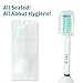 TPLB 2017 Electric Toothbrush Replacement Heads Compatible for Philips Sonicare E-Series | FDA Approved, BPA Free Bristles, Reduced Noise | For Advanced, CleanCare, Elite, Essence & Xtreme | Free Gift