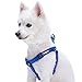 Blueberry Pet Essentials Step-in Dog Harness, Small Size | Adjustable Royal Blue Vest | Classic Solid Nylon for Boy & Girl Dogs, Chest Girth 16.5