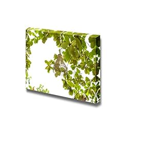 Canvas Prints Wall Art - Background Light Leaf Weaving on The Beach | Modern Wall Decor/Home Decoration Stretched Gallery Canvas Wrap Giclee Print. Ready to Hang - 12" x 18"