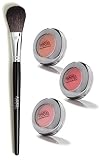 Best Blush Kit for All Skin Tones by Celebrity Makeup Artist - Alexis Vogel Make My Mood Kit - Includes Professional Blush Brush and 3 Shades of Blush - Matches Any Makeup Look for Any Occasion - Long Lasting Color and Flawless Application
