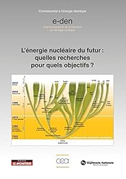 L' énergie nucléaire du futur