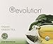 Revolution Tea - Mesh Infuser Full Leaf Tea - Organic Green Tea - 30 Bags
