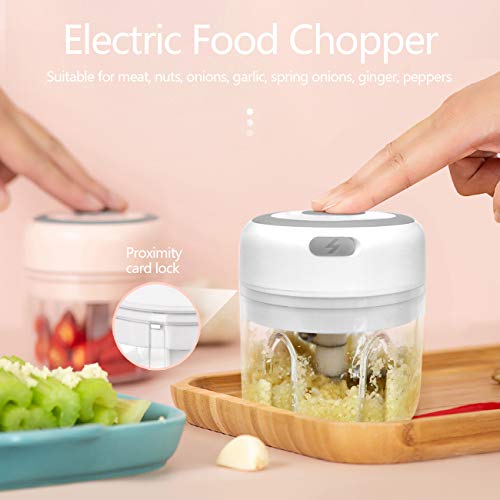 Huasida Mini Food Chopper Small Food Processor Mincer Blender Suitable for Onions Garlic Vegetables Nuts Baby Food (White, 250ml)