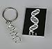 Anatomology DNA Helix Science Key chain