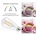 Edison LED Bulb 6 Watt, ST58 Vintage LED Filament Light Bulb, 4000K Daylight, E26 Medium Base Clear Glass Bulbs, Non dimmable, Pack of 6, by Comzler