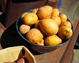 Simply Seed - 15 Piece Potato Seed - Organic Grown - German Butterballs - Non GMO - Fall Planting