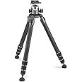 Gitzo Systematic Tripod, Series 5, with Center Ball Head, Series 4, 30kg Payload