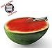 *OFFER* Quantahome Watermelon slicer & Melon Baller with De-corer. Apple Corer, Divider & cutter, Wedger-Easy Grip Stainless Steel Tongs. Perfect Fruit Bowl Mess Free - Dishwasher Safe- Juicing Ebook