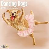 Dancing Dogs 2017 16 Month Wall Calendar 12 x 12 inches Bright Day Calendars Publishing