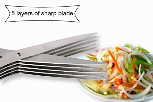 2 Joyoldelf+Gourmet+Herb+Scissors+Multipurpose