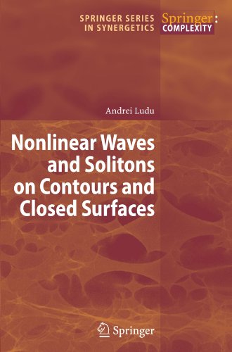 Nonlinear Waves and Solitons on Contours and Closed Surfaces (Springer Series in Synergetics)