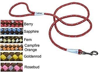 do cats get nicer after being spayed